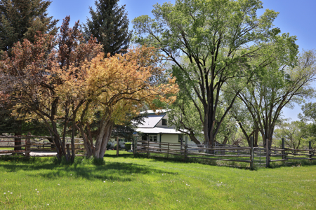 Country Home For Sale in Colorado with Irrigated Acreage - image 47