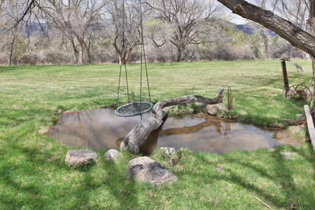 Country Home For Sale in Colorado with Irrigated Acreage - image 43