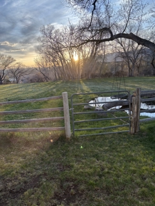Country Home For Sale in Colorado with Irrigated Acreage - image 21