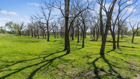 Mayes County Oklahoma Land For Sale - image 3