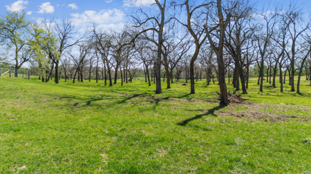 Mayes County Oklahoma Land For Sale - image 7