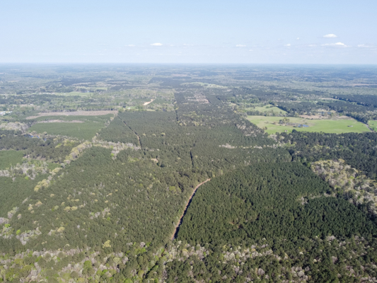 Longstraw 37 (Tract 3) Jackson Parish Timberland