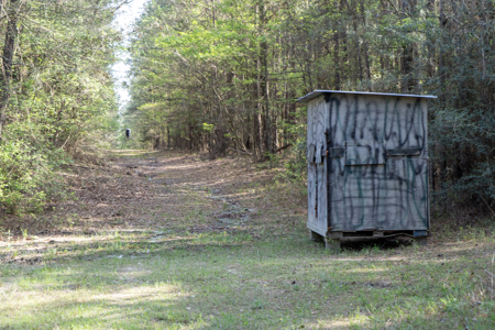 Longstraw 37 (Tract 3) Jackson Parish Timberland - image 3