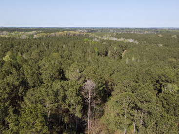 Listing 166