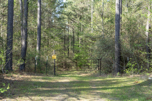 Longstraw 37 (Tract 3) Jackson Parish Timberland