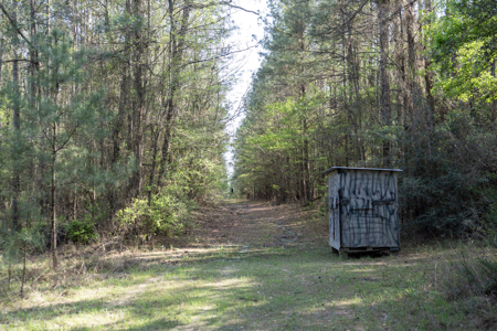 Longstraw 37 (Tract 3) Jackson Parish Timberland - image 35