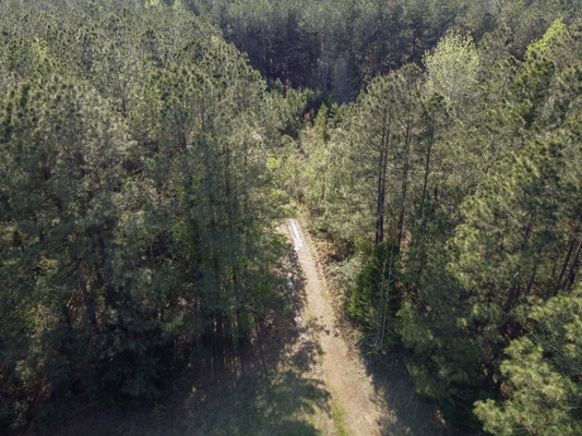 Longstraw 37 (Tract 3) Jackson Parish Timberland