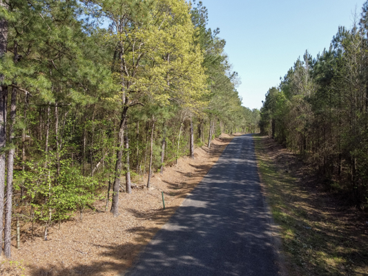 Longstraw 37 (Tract 3) Jackson Parish Timberland