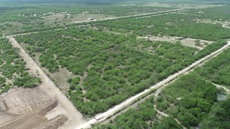 Build Your Dream Exotic Ranch – Where Vision Meets Wild Beauty - image 28