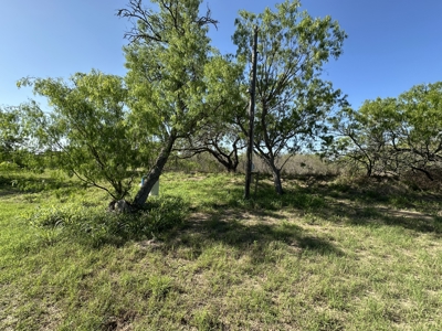 Build Your Dream Exotic Ranch – Where Vision Meets Wild Beauty - image 10