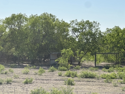 Build Your Dream Exotic Ranch – Where Vision Meets Wild Beauty - image 6