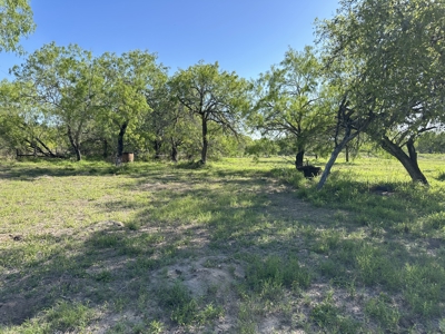 Build Your Dream Exotic Ranch – Where Vision Meets Wild Beauty - image 9