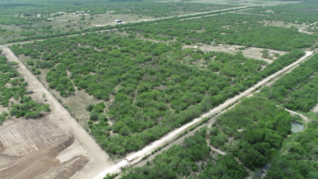 Build Your Dream Exotic Ranch – Where Vision Meets Wild Beauty - image 19