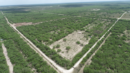 Build Your Dream Exotic Ranch – Where Vision Meets Wild Beauty - image 22