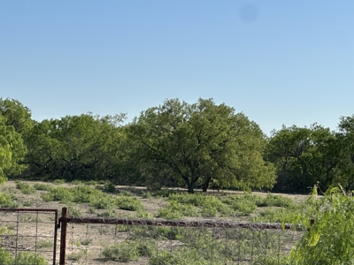 Build Your Dream Exotic Ranch – Where Vision Meets Wild Beauty - image 3