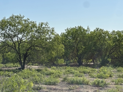 Build Your Dream Exotic Ranch – Where Vision Meets Wild Beauty - image 7