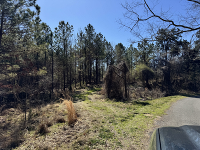 600 Acres Claiborne County Hunting Land Timber Investment - image 1