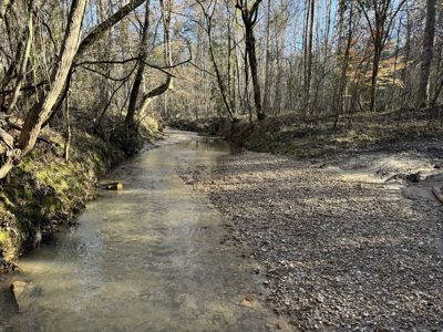 600 Acres Claiborne County Hunting Land Timber Investment - image 29