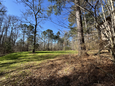 600 Acres Claiborne County Hunting Land Timber Investment - image 14