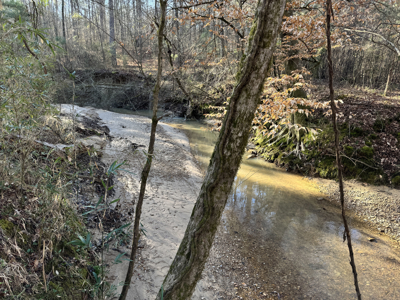 600 Acres Claiborne County Hunting Land Timber Investment - image 30