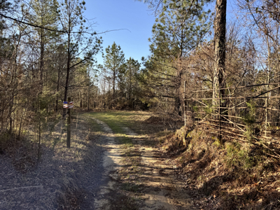 600 Acres Claiborne County Hunting Land Timber Investment - image 45