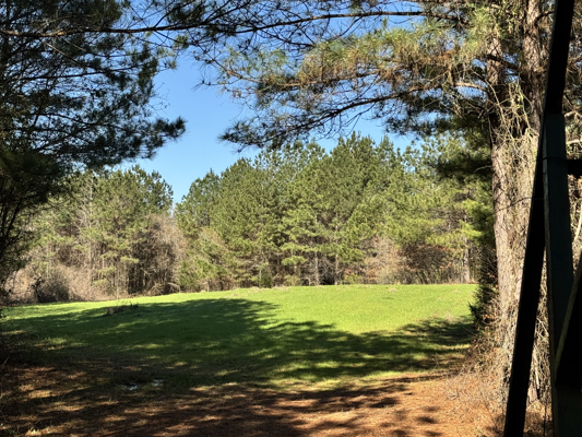 600 Acres Claiborne County Hunting Land Timber Investment