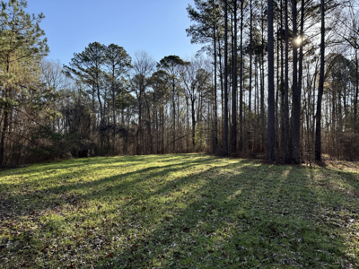 600 Acres Claiborne County Hunting Land Timber Investment - image 39