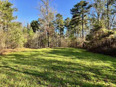 600 Acres Claiborne County Hunting Land Timber Investment - image 33