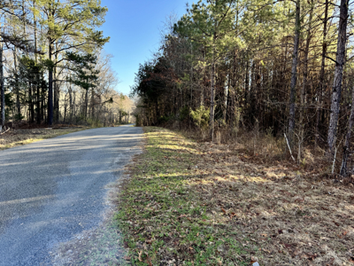 600 Acres Claiborne County Hunting Land Timber Investment - image 47