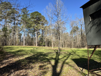 600 Acres Claiborne County Hunting Land Timber Investment - image 11