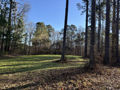 600 Acres Claiborne County Hunting Land Timber Investment - image 42