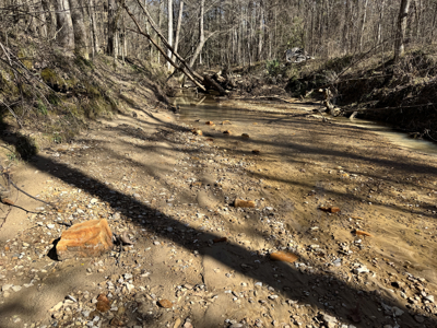 600 Acres Claiborne County Hunting Land Timber Investment - image 8