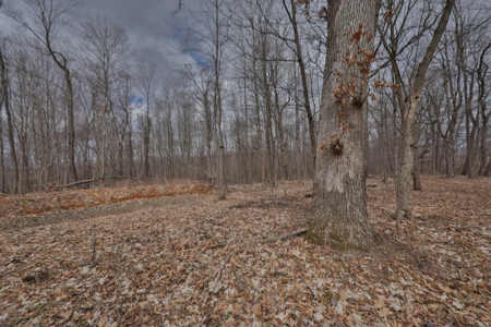 Hunting Land for Sale in Richland County, Wisconsin - image 38