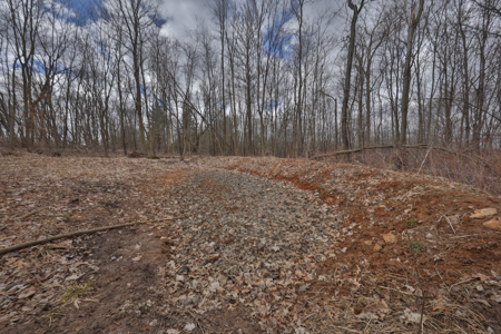 Hunting Land for Sale in Richland County, Wisconsin - image 12