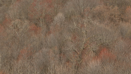 Hunting Land for Sale in Richland County, Wisconsin - image 26
