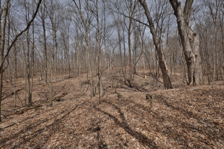 Hunting Land for Sale in Richland County, Wisconsin - image 31