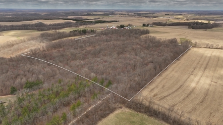 Hunting Land for Sale in Richland County, Wisconsin - image 4