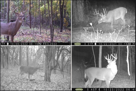 Hunting Land for Sale in Richland County, Wisconsin - image 39