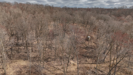 Hunting Land for Sale in Richland County, Wisconsin - image 19