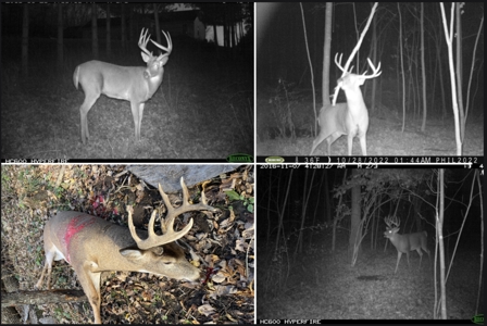 Hunting Land for Sale in Richland County, Wisconsin - image 2