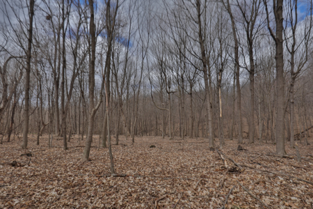 Hunting Land for Sale in Richland County, Wisconsin - image 25