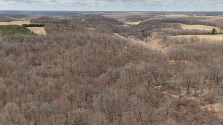 Hunting Land for Sale in Richland County, Wisconsin - image 17