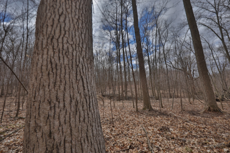 Hunting Land for Sale in Richland County, Wisconsin - image 24