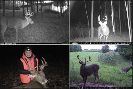 Hunting Land for Sale in Richland County, Wisconsin - image 16