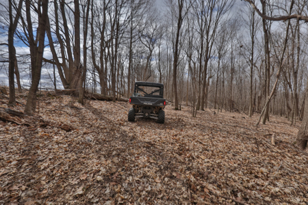 Hunting Land for Sale in Richland County, Wisconsin - image 7