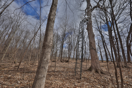 Hunting Land for Sale in Richland County, Wisconsin - image 9