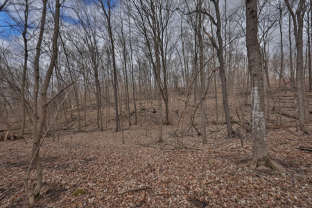Hunting Land for Sale in Richland County, Wisconsin - image 30