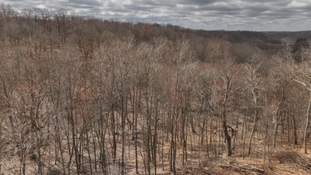 Hunting Land for Sale in Richland County, Wisconsin - image 29