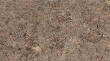Hunting Land for Sale in Richland County, Wisconsin - image 28