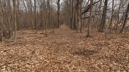 Hunting Land for Sale in Richland County, Wisconsin - image 8